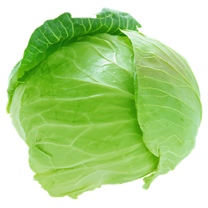 Cabbage PNG image-8803